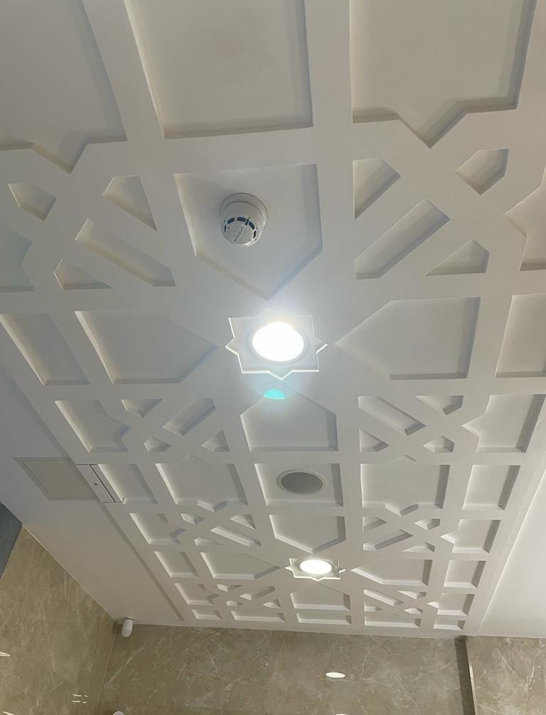 Ceiling Panel CP251